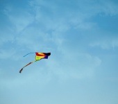 Kite in Sky