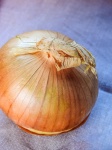 Onion Vegetable