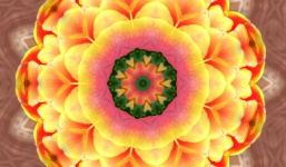 Orange and yellow kaleidoscope