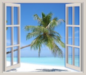 Palm Tree Beach View