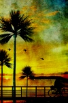 Palmboom zonsondergang schilderij