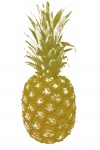 Clipart dell'oro dell'ananas