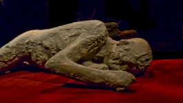 Pompeii Simulated Body