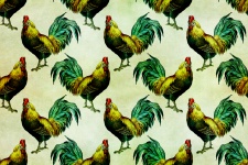 Rooster, Henne Vintage Illustration