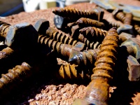 Rusted Wood Screws