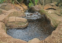 Small water pool in a park