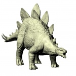 Stegosaurus Mannequin