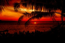 Sonnenuntergang Strand Palmen