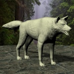 Wolf Mannequin