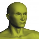 Yellow Male Bust