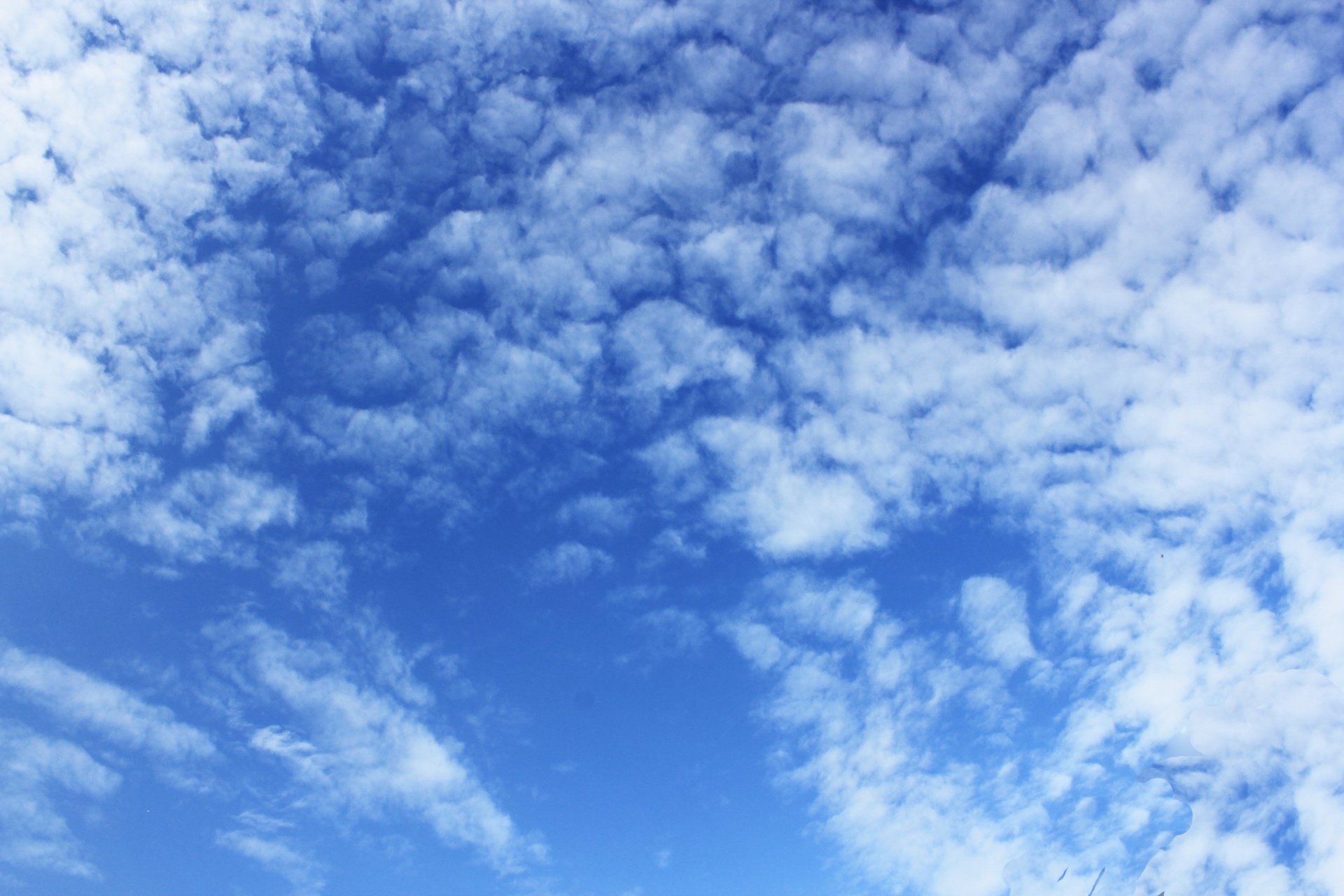 Clouds Background 005 Free Stock Photo Public Domain Pictures