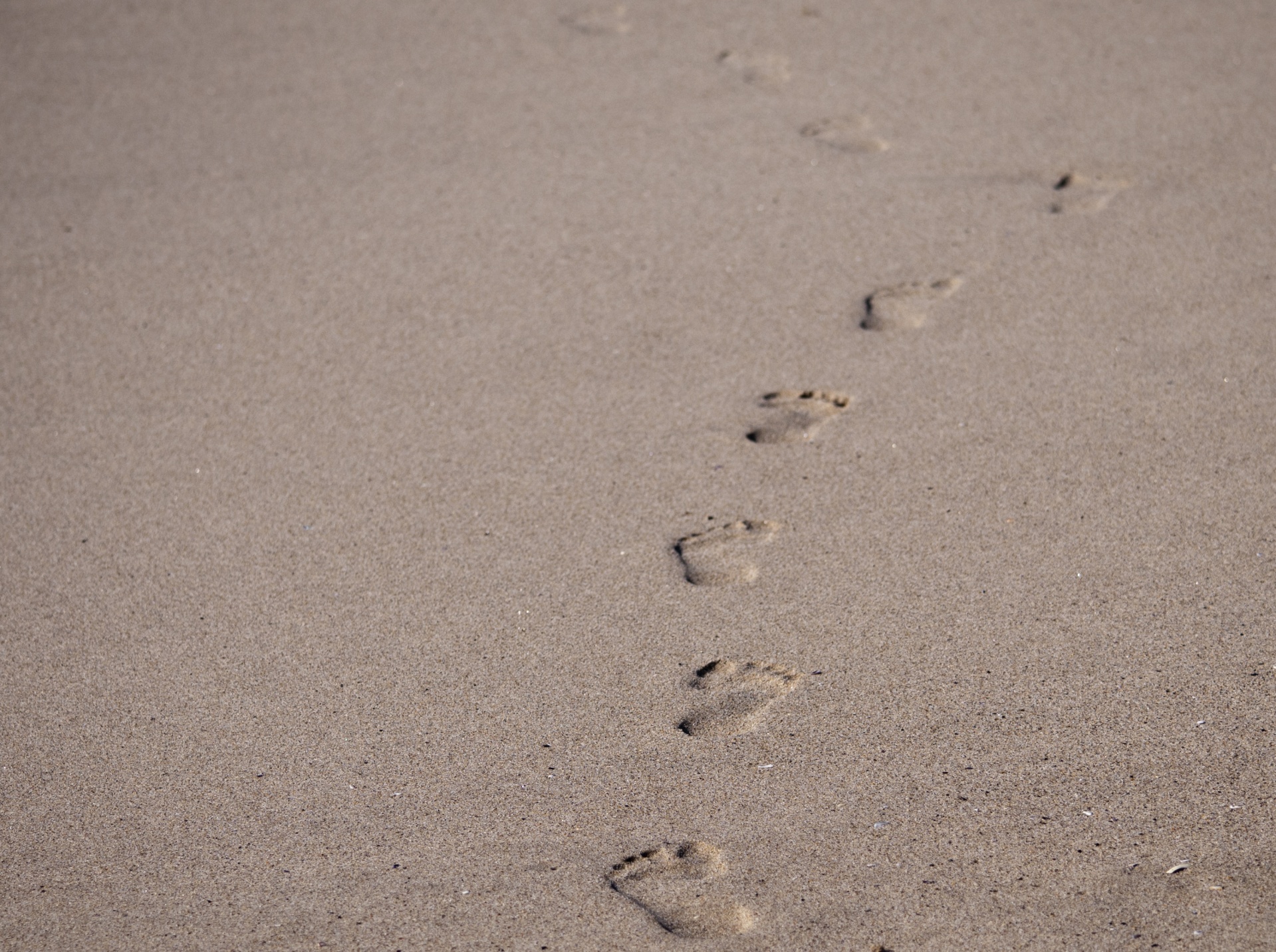 footprints-in-the-sand-free-stock-photo-public-domain-pictures