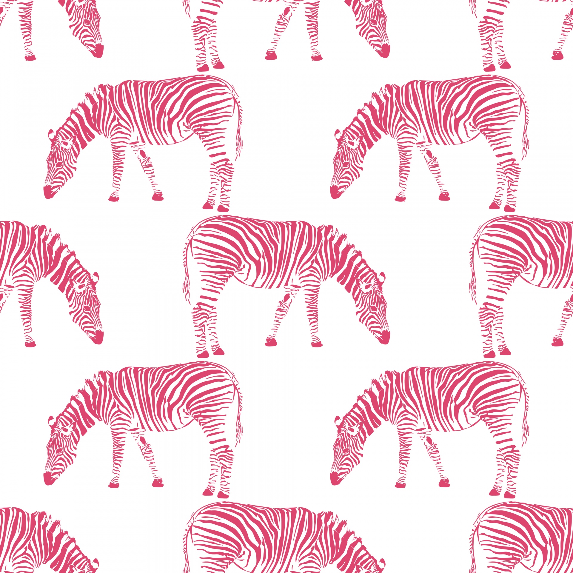 Zebra Wallpaper Background Pattern Free Stock Photo Public Domain Pictures