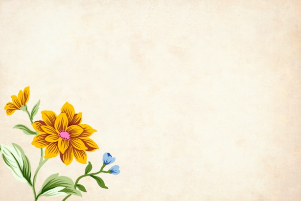 Flower, Floral, Background, Border Free Stock Photo - Public Domain Pictures