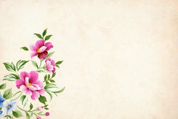 Flower, Floral, Background, Border Free Stock Photo 