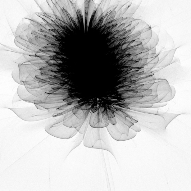 Flor negra fractal Stock de Foto gratis - Public Domain Pictures