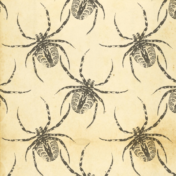 蜘蛛背景壁纸免费图片 Public Domain Pictures