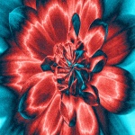 Flowery Design Bakgrund - 18