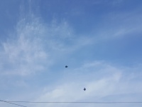 Ballons flottant loin