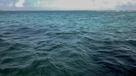 Mer bleue et verte de Cancun