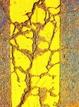Cracked Yellow Paint Stripe