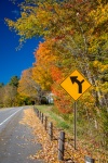 Curve sign in fall
