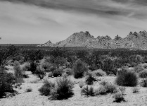 Пейзаж пустыни в черно-белом