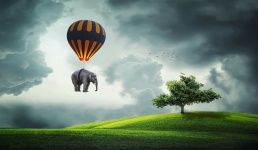 Elefant, ballong, flyga, träd,