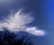 Fondo de nube de pluma