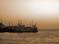 Trawlery rybackie na kotwicy w sepii