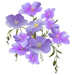 Kwiaty Clipart Purple