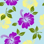 Flowers Hibiscus Background Pattern