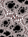 Fractal Pattern In A Brown Colors