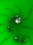Green Fractal Spiral