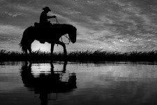 Horse Silhouette Cowboy