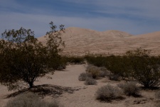 Kelso písečné duny