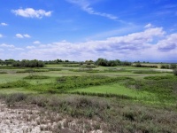 Landscape of Wetlands Preserve