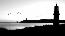 Oiseaux de paysage marin de phare