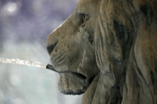 Lion head fountain