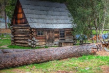 Cabana din lemn