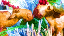 Merry Christmas Moose