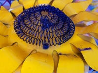 Metal Sunflower Background
