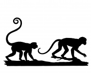 Affe Silhouette Clipart