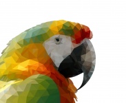 Parrot, Macaw Low Poly