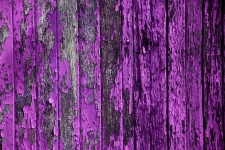 Peeling Paint Background Purple