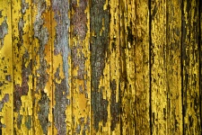Peeling Paint Background Yellow
