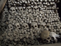 Pilha de ossos humanos