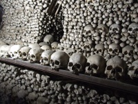 Pila de cráneos y huesos humanos
