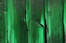 Painel de madeira de pinho fundo verde