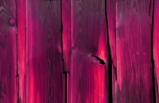 Fundo de painel de madeira de pinho rosa